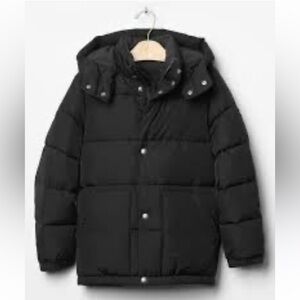 Gap Boys Black Puffer Coat Size XL